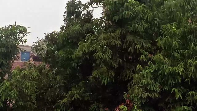 कानपुर में तेज हवाओं के साथ जमकर बारिश शुरू