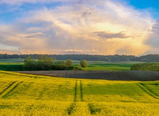 4 bonnes raisons de passer ses vacances à la campagne