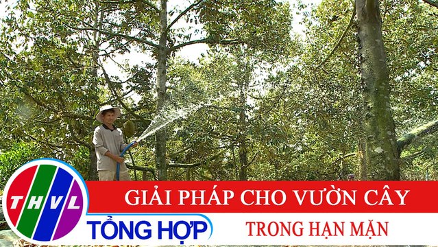 Nông nghiệp bền vững: Giải pháp cho vườn cây trong hạn mặn