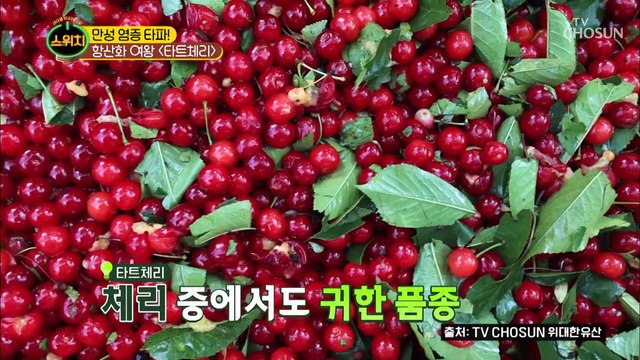 만성 염증 잡는 과일 ▸이것◂의 정체는?