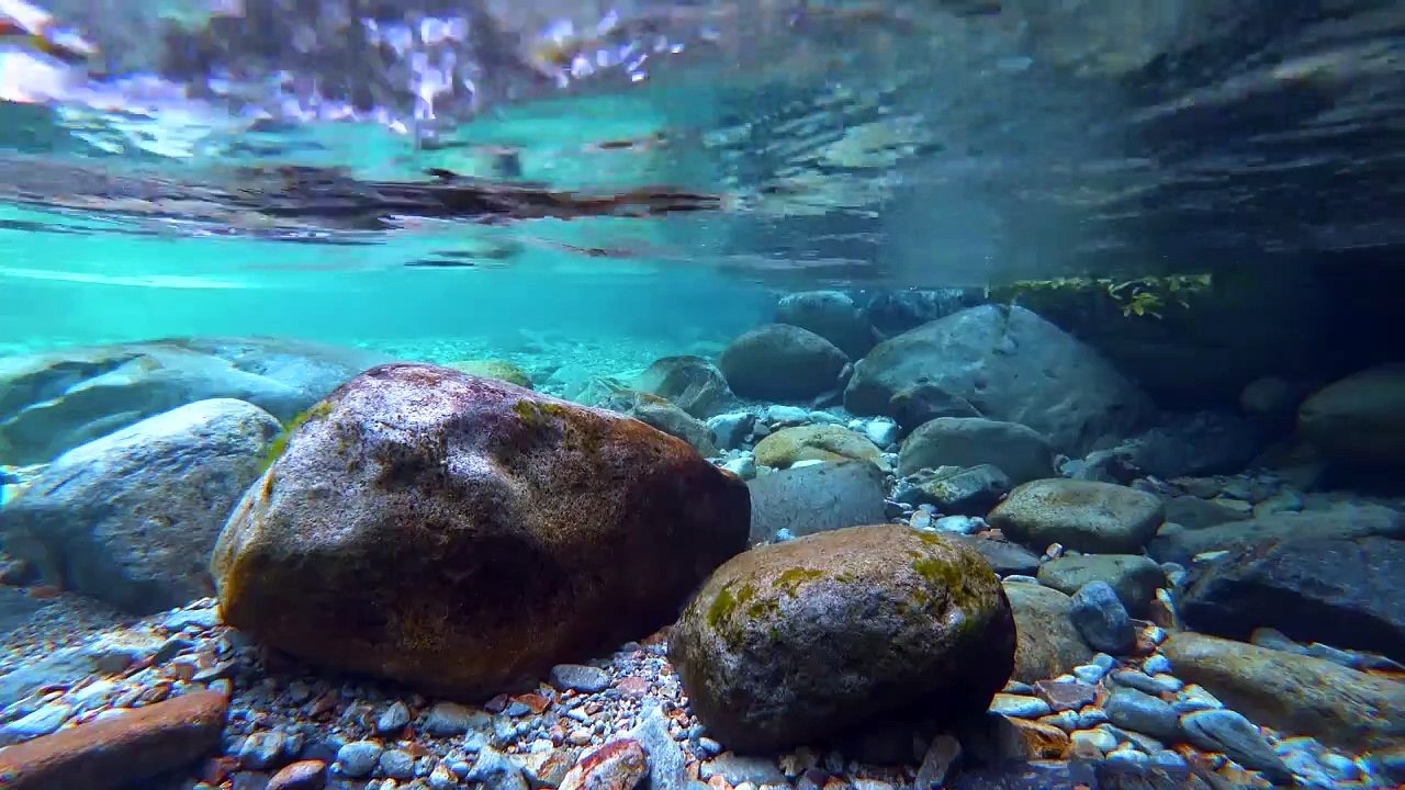 SONIDOS DE LA NATURALEZA: AGUA CRISTALINA DE UN RIO , SONIDO NATURAL QUE RELAJA Y LIBERA DEL ESTRES