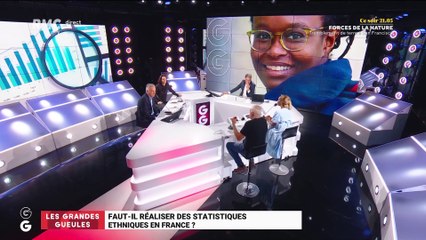 Faut-il réaliser des statistiques ethniques en France ? - 15/06