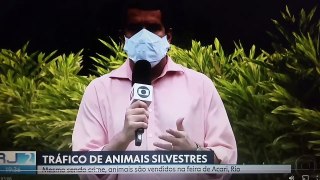 O TRÁFICO DE ANIMAIS SILVESTRES NO RIO DE JANEIRO.
