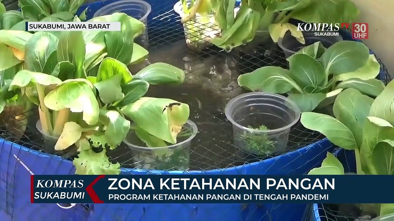 Program Ketahanan Pangan Di Tengah Pandemi