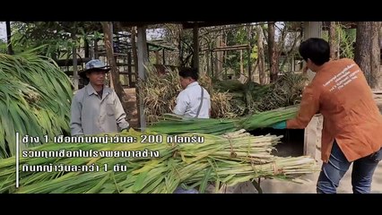 ฌอห์ณ คนหล่อขอทำดี ปี10