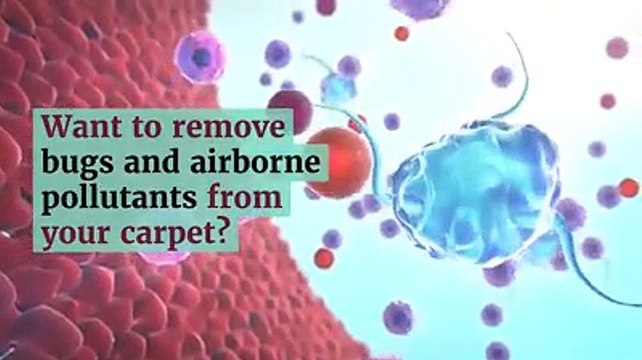 Cleaning and Sanitizing Services Cape Coral!