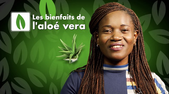 Minute verte - les bienfaits de l'ALOE VERA