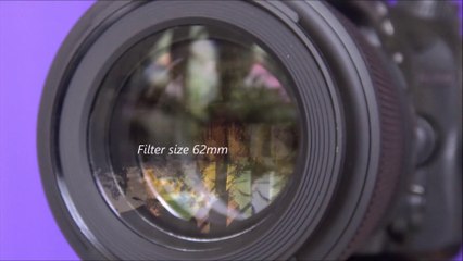 Tamron 90mm Macro Lens Review 📸