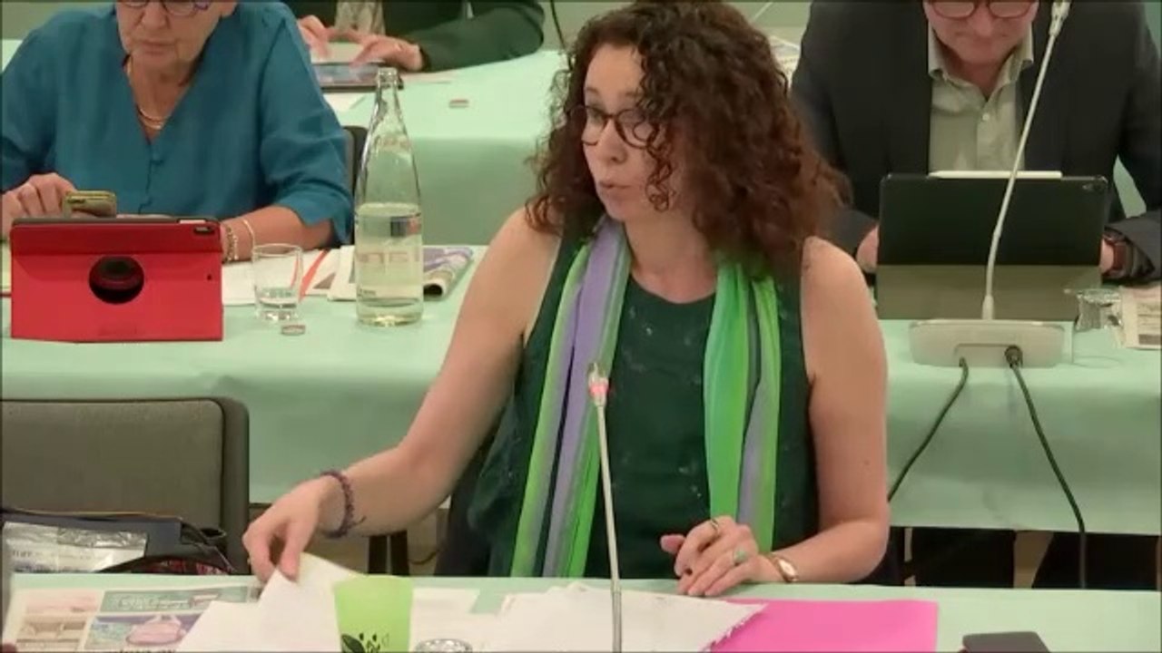 Sandrine HILY. Présentation du voeu relatif au traité de libre-échange Union européenne-Mexique. Session du 15 juin 2020