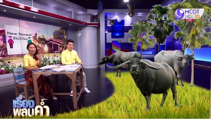 เรื่องพลบค่ำ (ช่วงที่ 1) วันจันทร์ที่ 15 มิถุนายน 2563