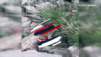 Yılanların dansı saniye saniye görüntülendi