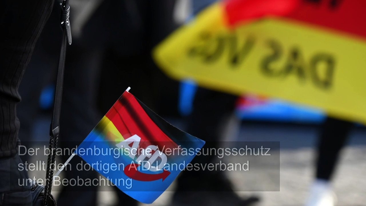 Brandenburgs Verfassungsschutz stellt AfD-Landesverband unter Beobachtung