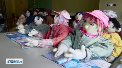 Des poupées remplacent les habitants disparus à Nagoro, sur l'île de Tokushima