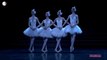 Swan Lake, Tchaikovsky - Dance of the Little Swans Ballet Dance