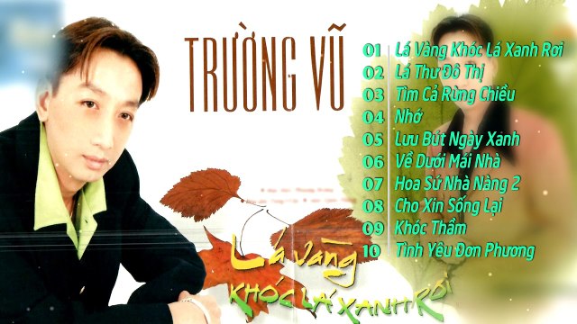 TRƯỜNG VŨ ông hoàng nhạc vàng LK Những ca khúc nhạc vàng hay nhất tuyển chọn PHẦN 6