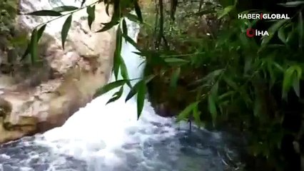 Kendisini kurtaran itfaiye ekiplerine böyle teşekkür etti