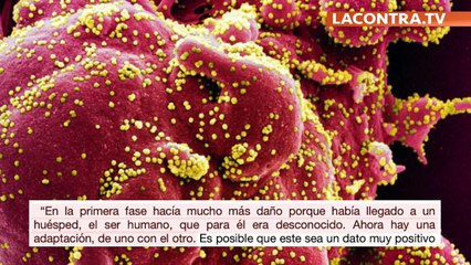 El coronavirus ha envejecido en 3 meses, y se vuelve 100 veces menos agresivo