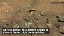 NASA’s Curiosity Rover Captured a ‘Thigh Bone' on Mars, But It’s Not What It Seems