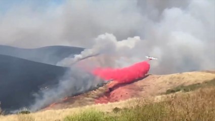 Firefighters tackle vegetation fire, halt progress