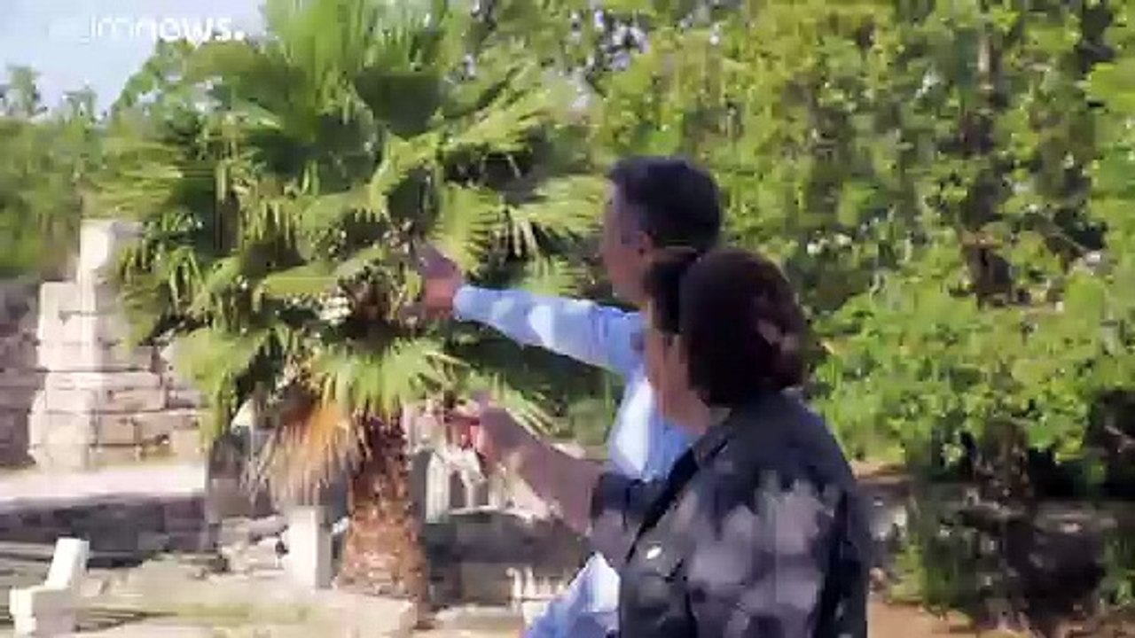 Griechenland öffnet Museen