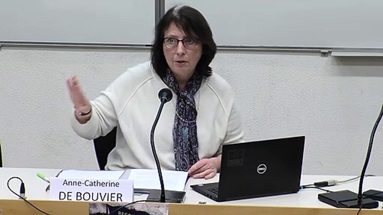 Conférence "Reconciling British and Irish Rights" - Anne-Catherine De Bouvier