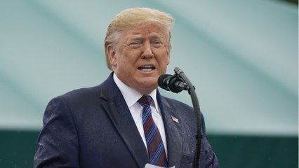 Trump's Niece To Publish Tell-All Book