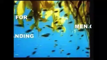 HISTORICAL  MIRACLE OF QURAN ON DISCOVERY OF CITY OF IRAM WHERE AD LIVED