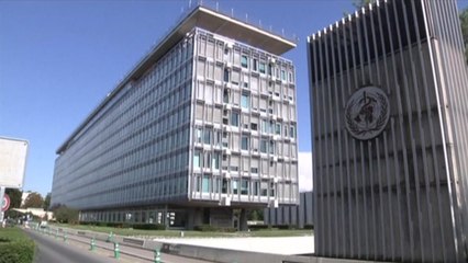 WHO "중국 베이징 코로나19 집단감염, 중요 사건" / YTN