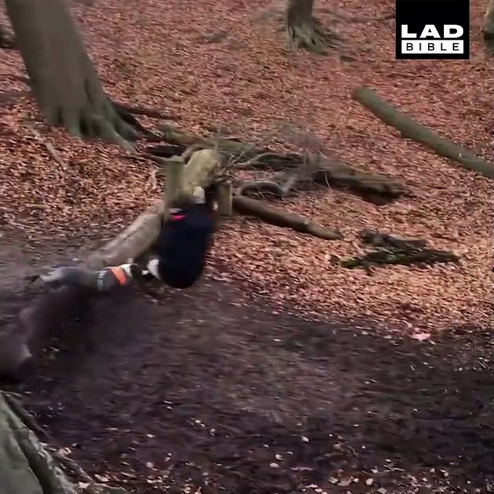 Son chien avait terriblement envie de faire de la balançoire avec sa maitresse