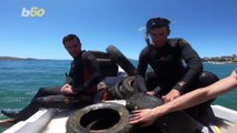 Diving Volunteers Retrieve Over 700 Tires in Coastal Cleanup Effort!