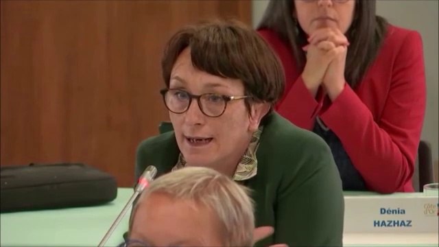 Céline TONOT. Rapport d'information sur la protection des Côte-d'Oriens (masques). Session du 15 juin 2020