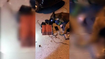 Otomobilin hoparlör sistemindeki uyuşturucuyu "Artos" buldu - BOLU