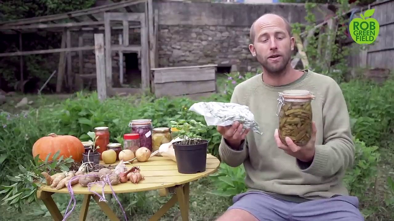 The Easiest, Most Abundant Edible Plants to Grow in a Garden - Gardening in a Cold Climate