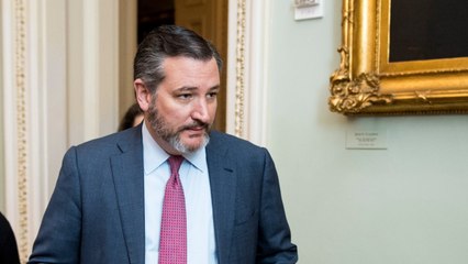 Senator Ted Cruz Challenges Ron Perlman In Behalf Of Jim Jordan