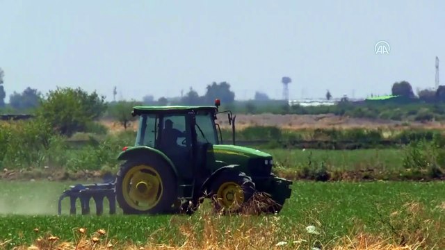 TMO Genel Müdürü Güldal: Salgın döneminde, gıda arzı ve güvenliği sorunsuzdu - HATAY