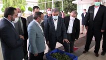 AK Parti Genel Başkan Yardımcısı Yazıcı çay fabrikasını ziyaret etti - RİZE
