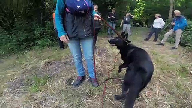 pocket BA en recherche utilitaire