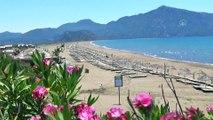 İztuzu Plajı gündüz turistleri gecede caretta carettaları ağırlıyor - MUĞLA