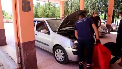 Otomobilin motor kısmında 20 kilometre giden yavru kedileri itfaiye kurtardı - KONYA
