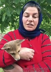 Annesi öldürülen tilkiye annelik yapan yurdum insanı 