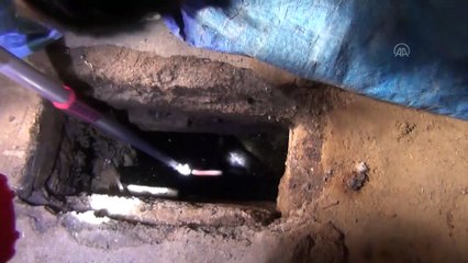 Foseptik çukuruna düşen oğlağı zabıta kurtardı - IĞDIR