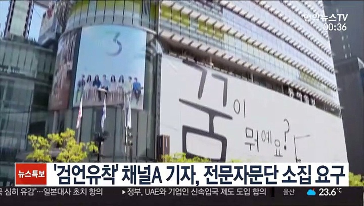 '검언유착' 채널A 기자, 전문자문단 소집 요구