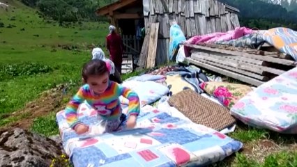 Doğu Karadeniz'de yaylacıların zorlu yolculuğu sürüyor - ARTVİN