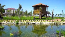 5 Haziran Dünya Çevre Günü'nde 10 millet bahçesi daha açılıyor - ANKARA