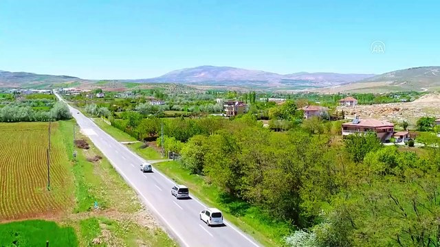 Kalkınma ajansı desteğiyle yerli tohumdan 2 milyon fide yetiştirildi - ANKARA