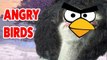 Angry Birds In Real Life Video Compilation _ Cutest Animals 2016