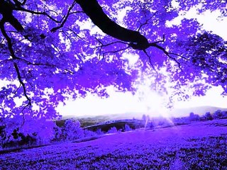 MUSICA PARA RELAJAR  TU MENTE