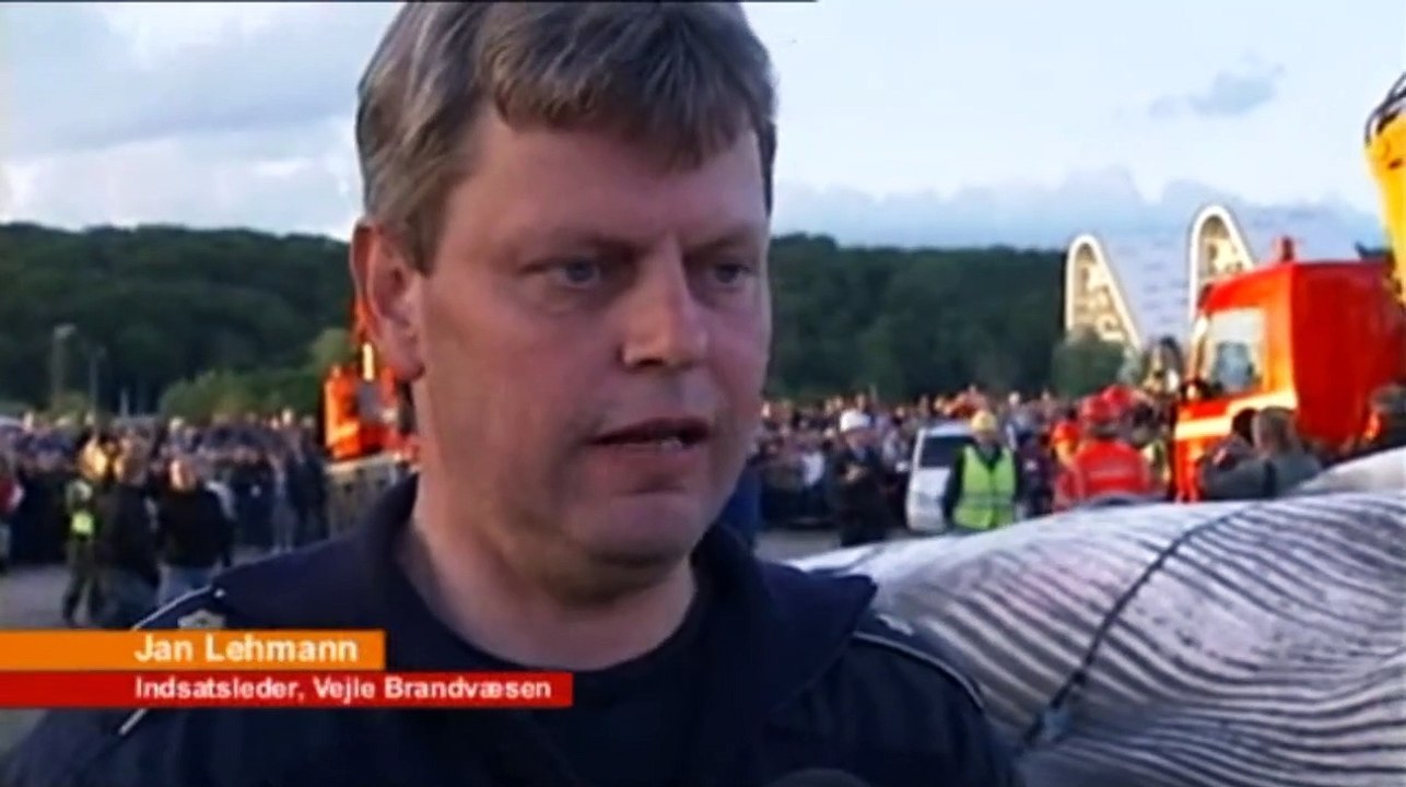 Året der gik | 2010 | Hvalen i Vejle | 02-01-2011 | TV SYD @ TV2 Danmark