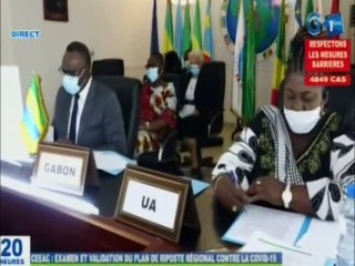 RTG/Reunion des ministres de la santé de la CEEAC par visioconférence
