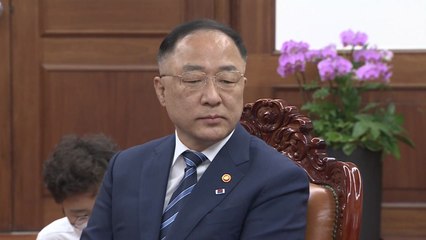 홍남기 경제부총리 "추경 늦어져 속이 타 들어가" / YTN